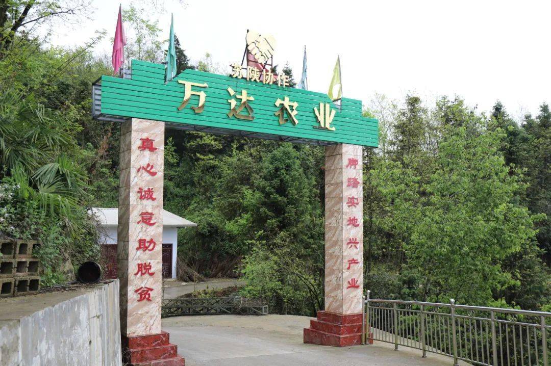 共圆小康梦建功十四五巴山镇做强产业助力乡村振兴