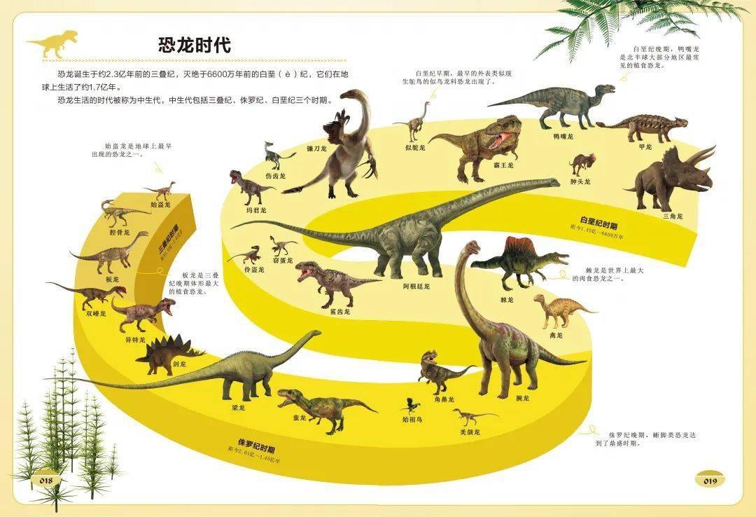 恐龙进化的过程资料图片