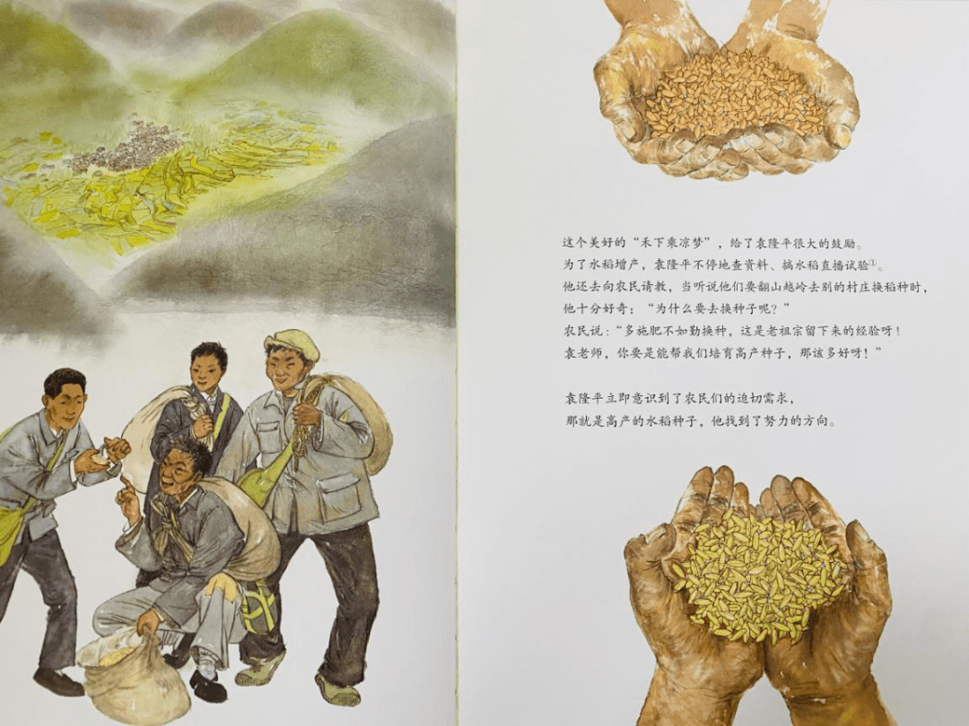 稻禾什么成语_禾稻(4)