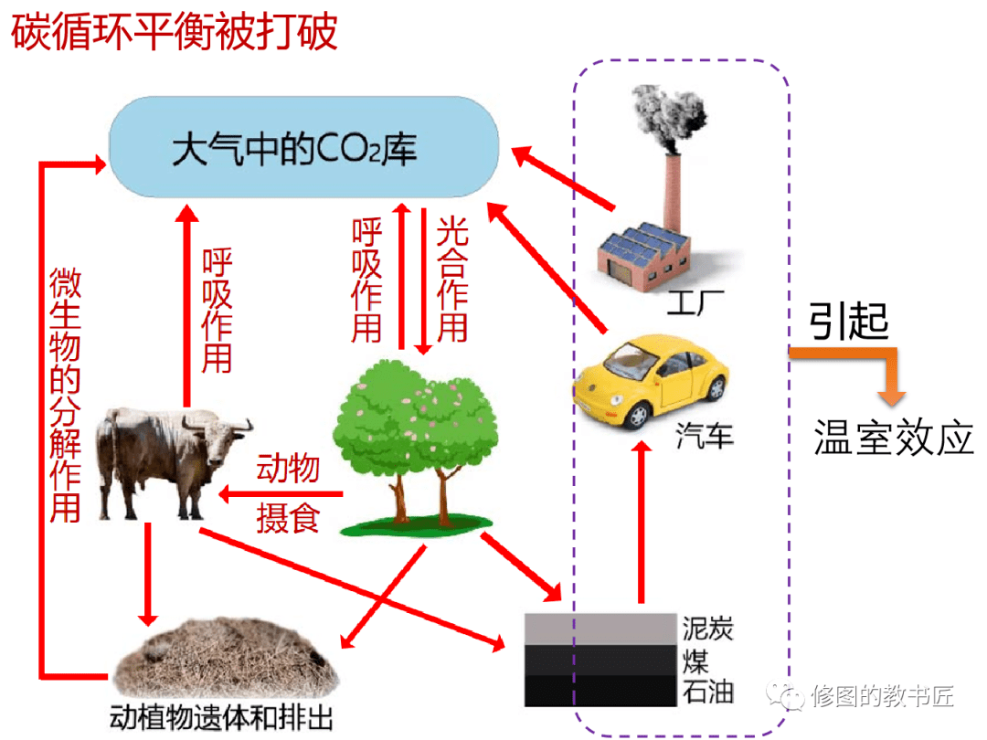 高考热点碳中和与碳达峰