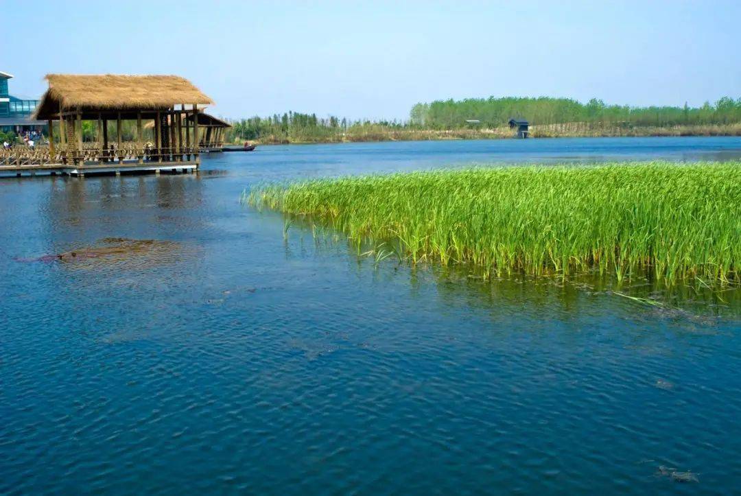策湖国家湿地公园图片