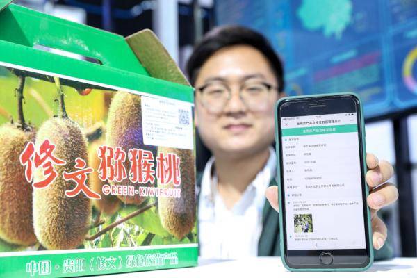 机器人|创新科技闪耀数博会