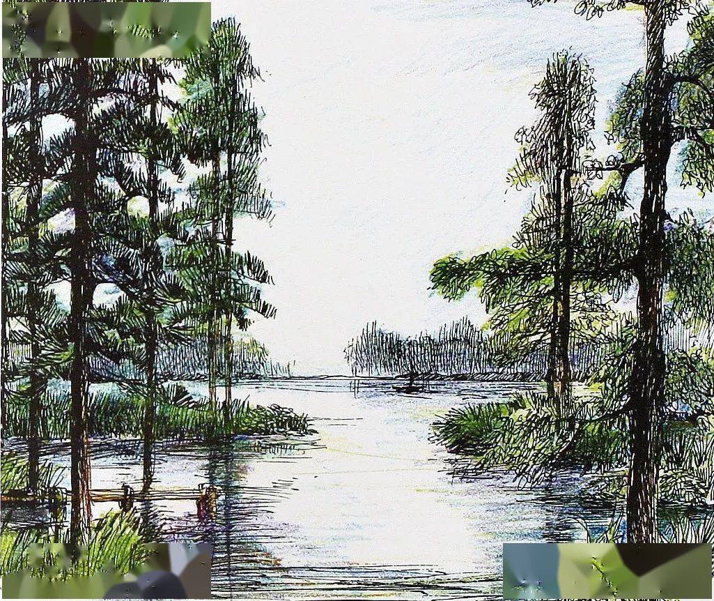 水杉林景观水边植物群落社区中心景观栈桥景观生态景观一生态景观二