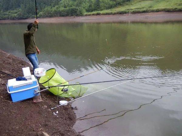 什么地方有鱼钓 08c47bb2590547b687a7e8e7e1e6aaa5.jpeg