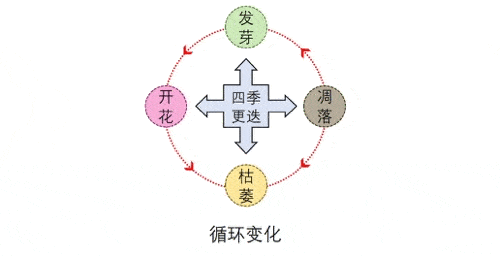 城市色彩变化的规律和轨迹第八章借用生物学术语"再生",研究了那些