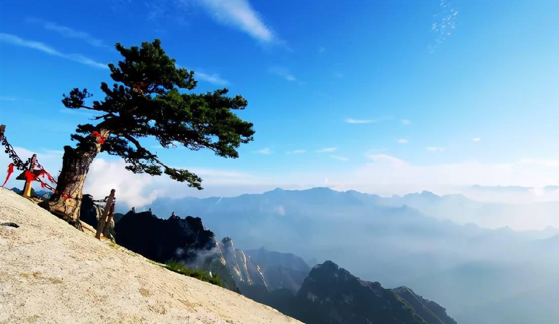 华山迎客松热情迎接秦岭山系远道而来的朋友 冯春摄