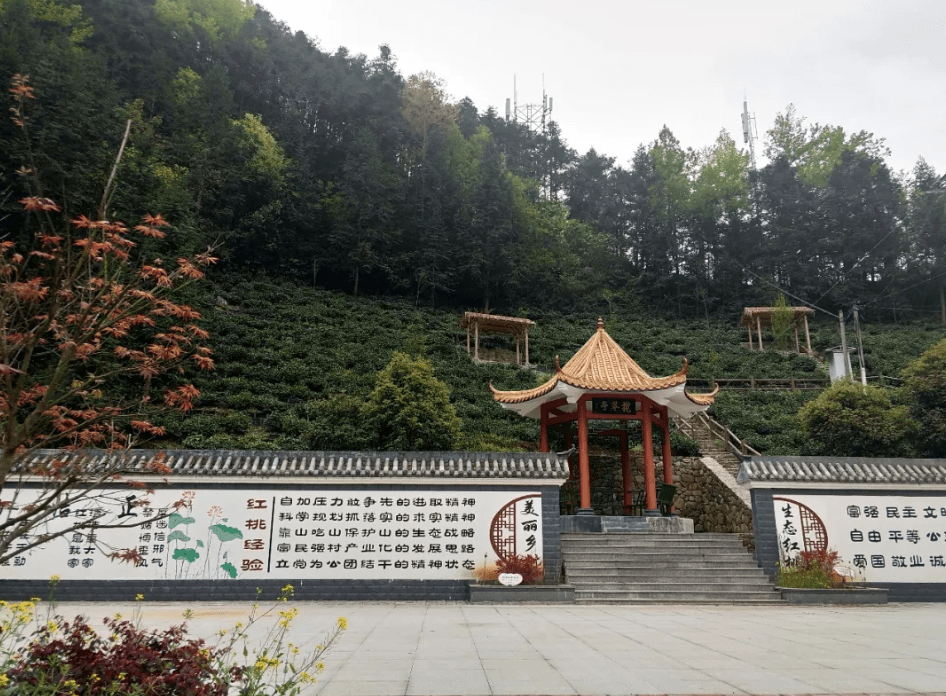 砥砺奋进新时代石台县丁香镇五年来经济社会发展纪实