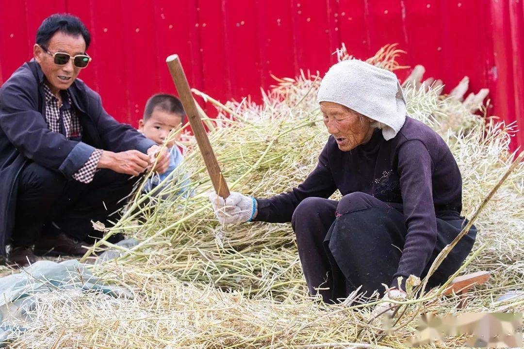 发现美·随手拍丨上蔡:脱贫后的乡村美好生活