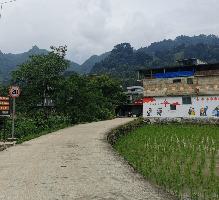 我是巴佑村的女儿你们永远是我不变的牵挂记三都县大河镇巴佑村驻村