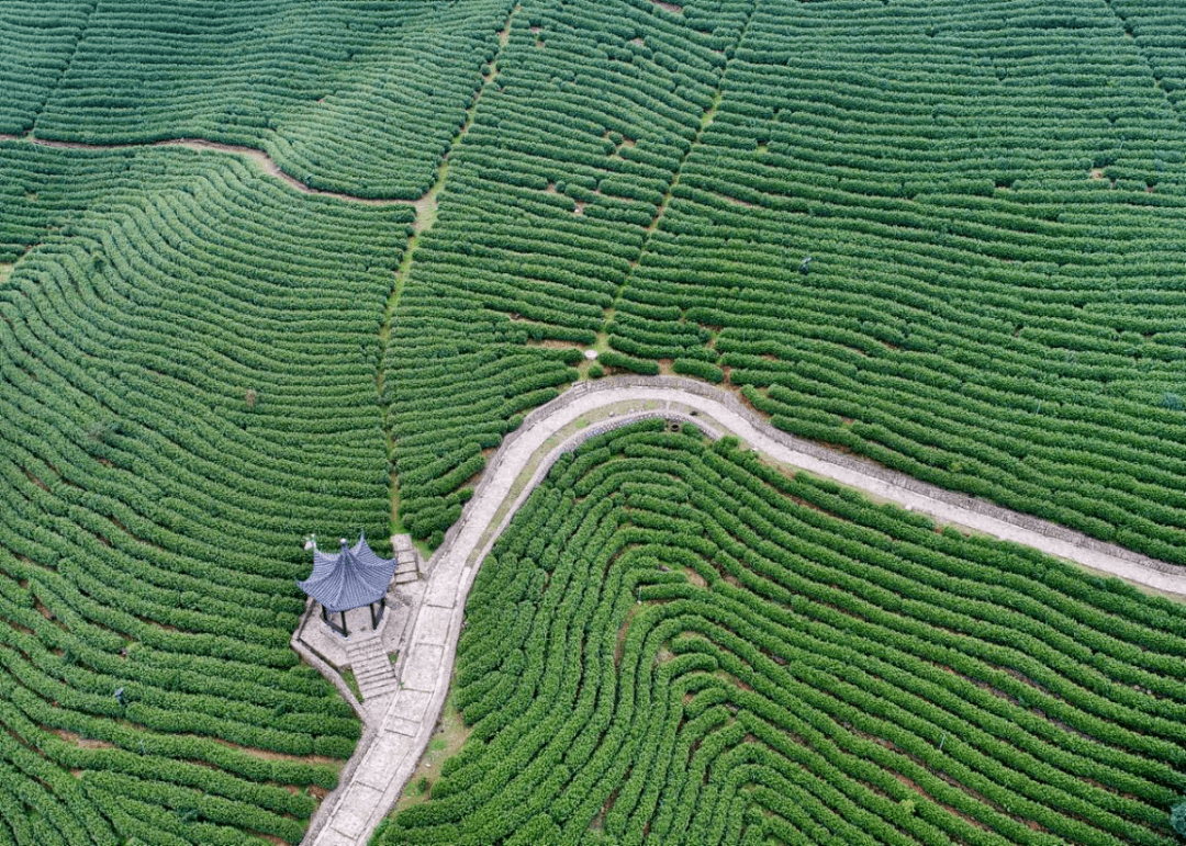 線路圖:玲瓏灣生態園→原鄉小鎮(住宿)→妙山村→茶禪一味紀念館