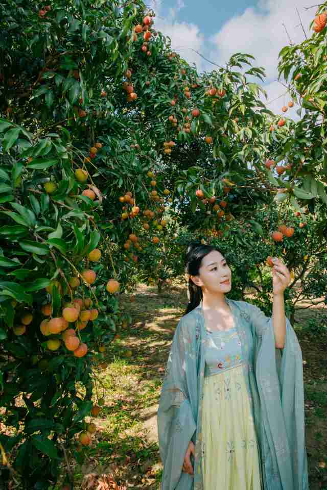 荔枝妹妹刘明璐希望让更多人了解大唐荔乡茂名