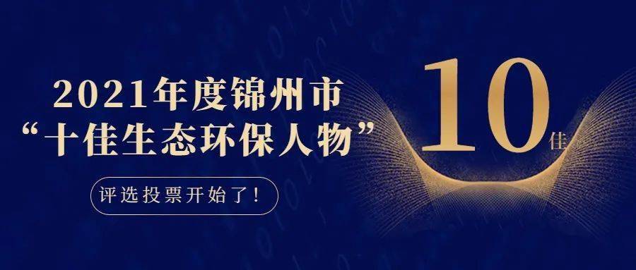 大肠发圈品牌TOP10：创意与潮流的完美结合