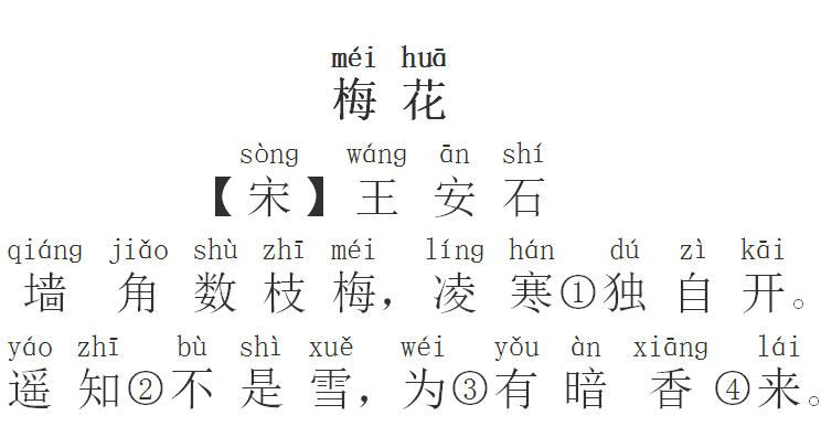 每日打卡39小学必背古诗梅花