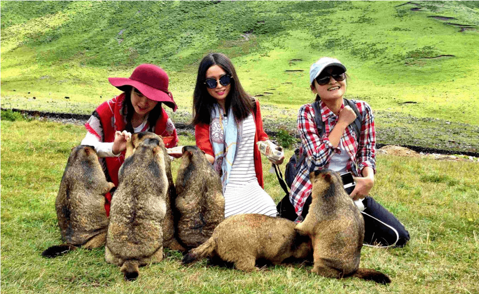 旅行 cebfdbb700004273ad4747e94a873d88.png