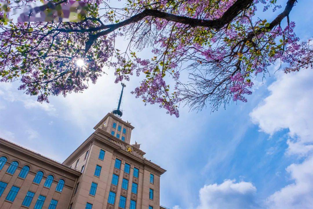 高考向前冲101岁的哈工大等你来