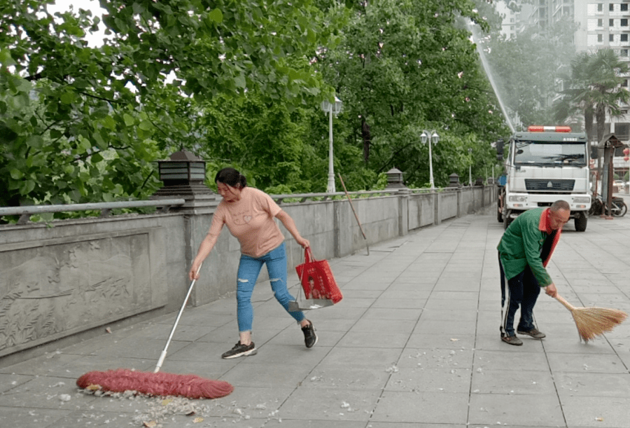 园林所丨启动石泉滨江大道 飞雪 治理 方法