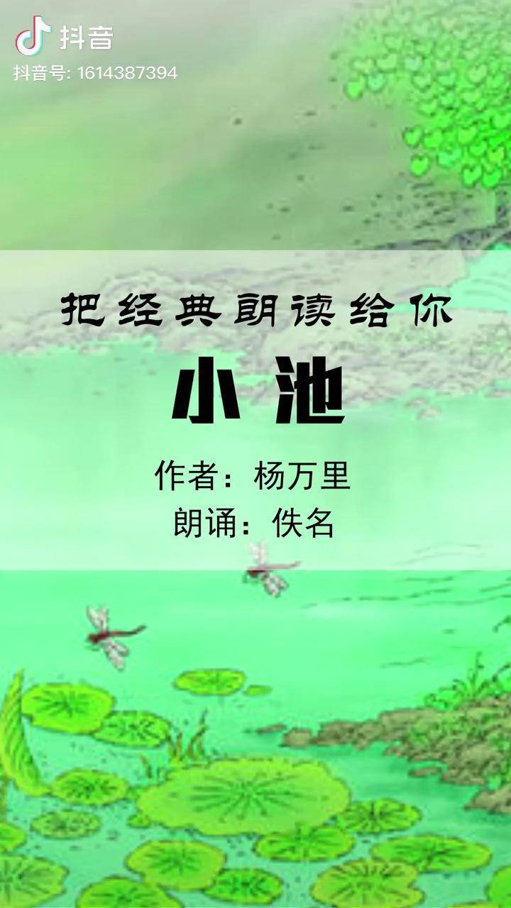 小池杨万里眼中的初夏之美朗读诗词