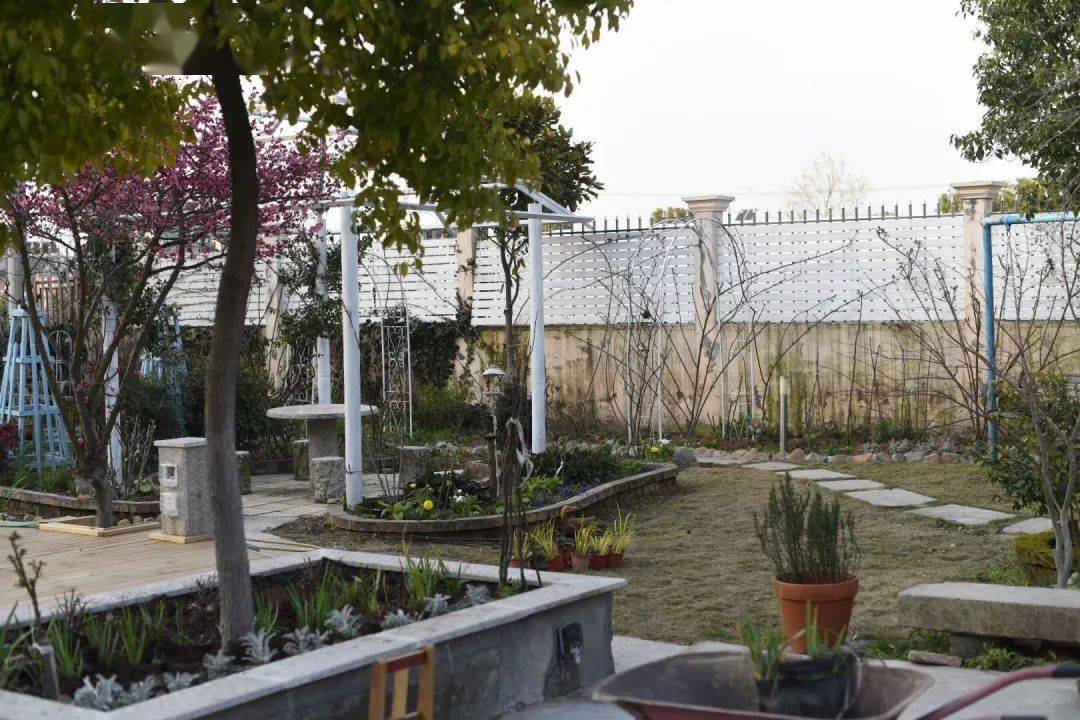 78岁爷爷改造荒废院子,为孙女建起一座花园