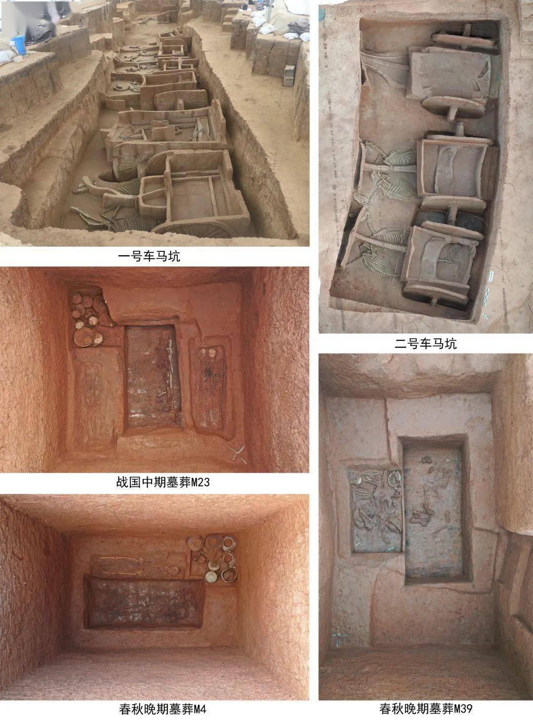 山东省文物考古研究院2020年田野考古主要收获