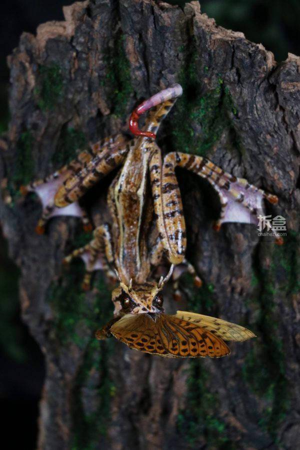 yyf 幻想生物～角蟾蜥艺术家限定版 动物模型gk雕像