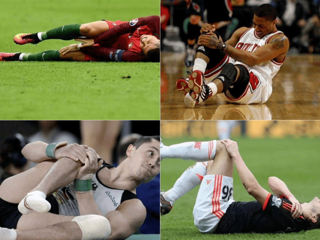 意大利冠军运动员双膝关节「焕活膏」!一抹散痛,走路似年轻10岁._成分