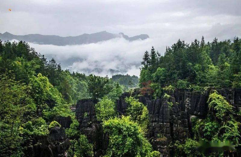 屏山县属于哪个市 d5775f7ae06843188f042184d36b0016.jpeg