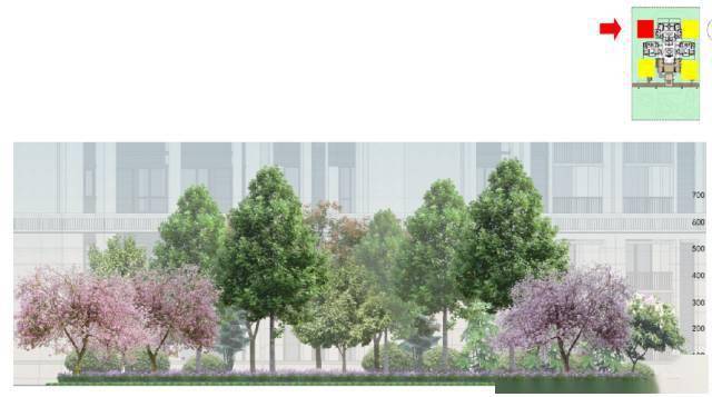 群落特征宅前绿地-设计说明宅前绿地-平面图宅前绿地-苗木表宅前绿地