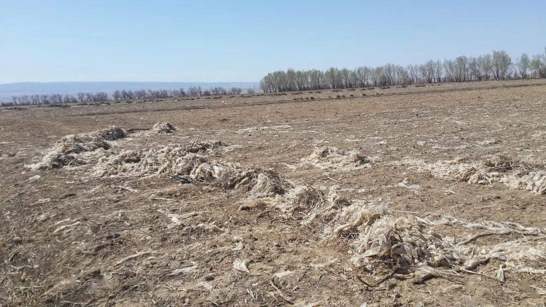富顺农民伯伯们注意了回收农膜开始了不及时要罚款