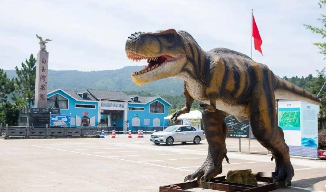 「端午特辑」6.12象山"海之湾"带你玩转运动极限,半边山沙滩戏水