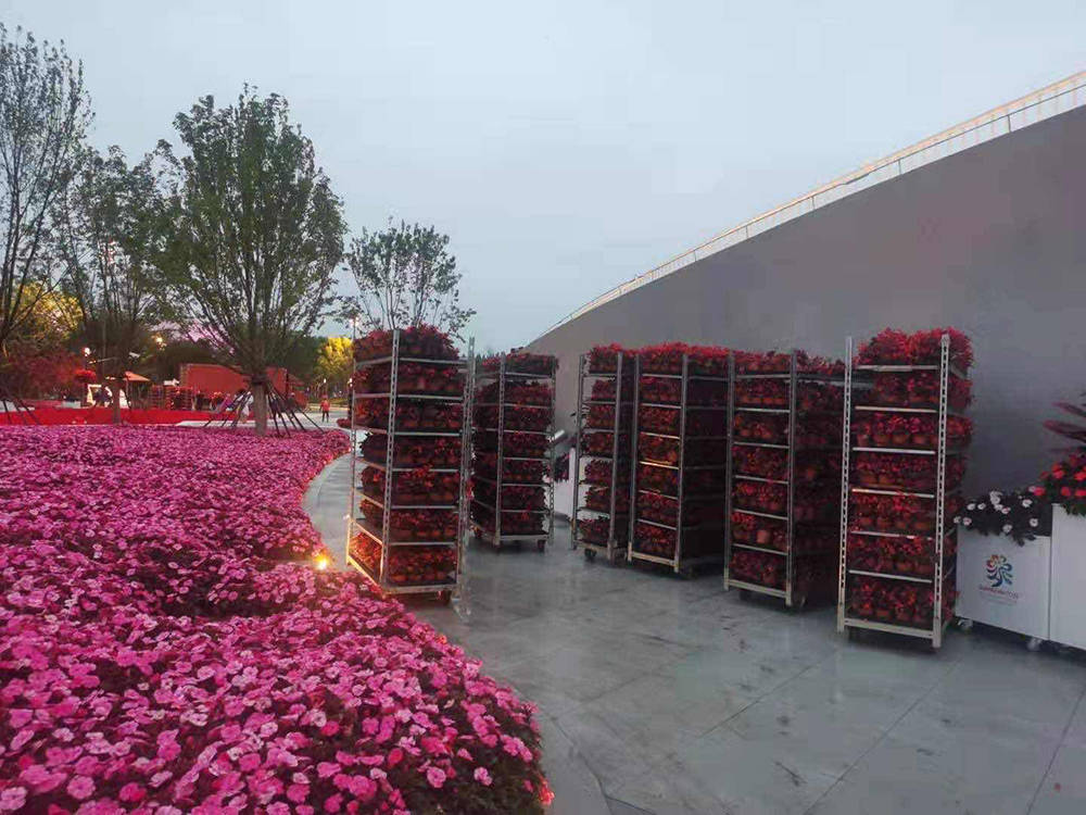 花博会 大蝴蝶 屋顶花园今晚起换花 始终保持 颜值 在线 花卉