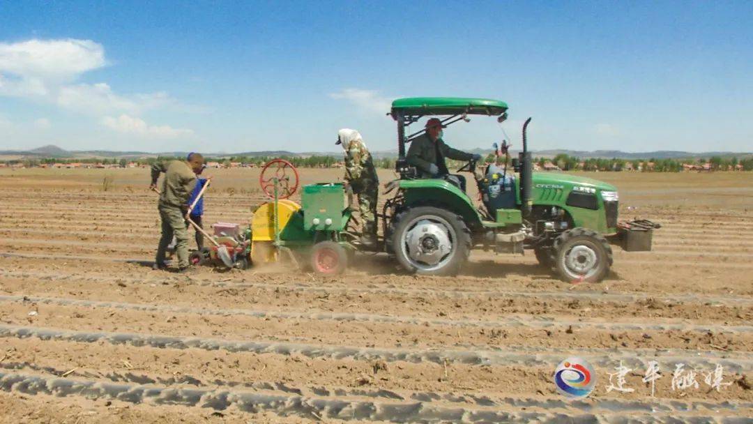 三家蒙古族乡:特色农业产业"赋能"乡村振兴_种植