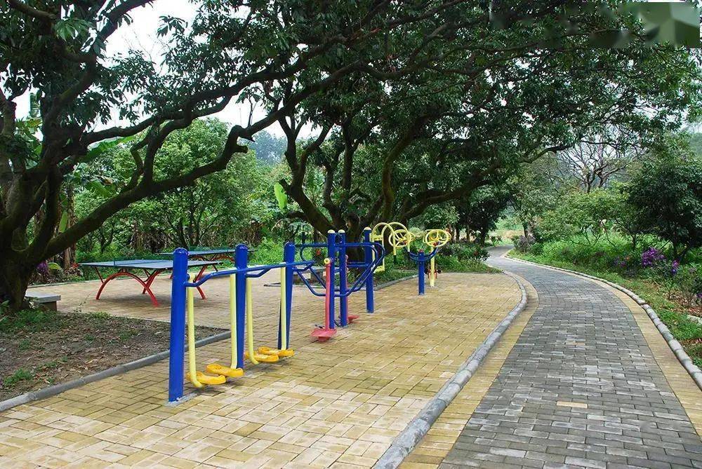 双流运动场地大盘点各类球馆超大户外草坪适合全家老少来运动