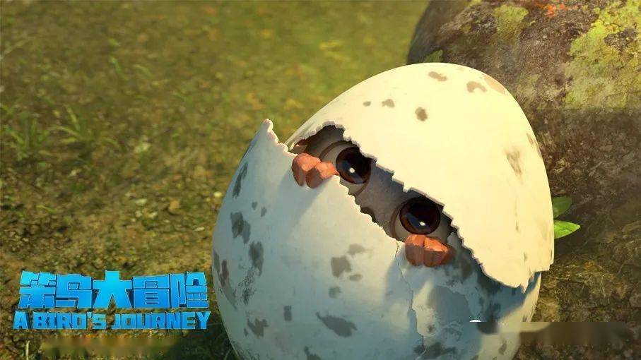 笨鸟大冒险发布新生剧照展现鸻鸟小伊破壳时刻勇敢成长家是方向