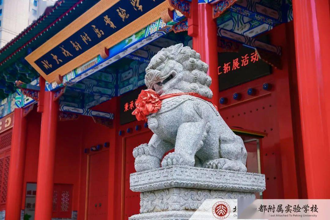 北大成都附属实验学校第三届艺术班招生啦