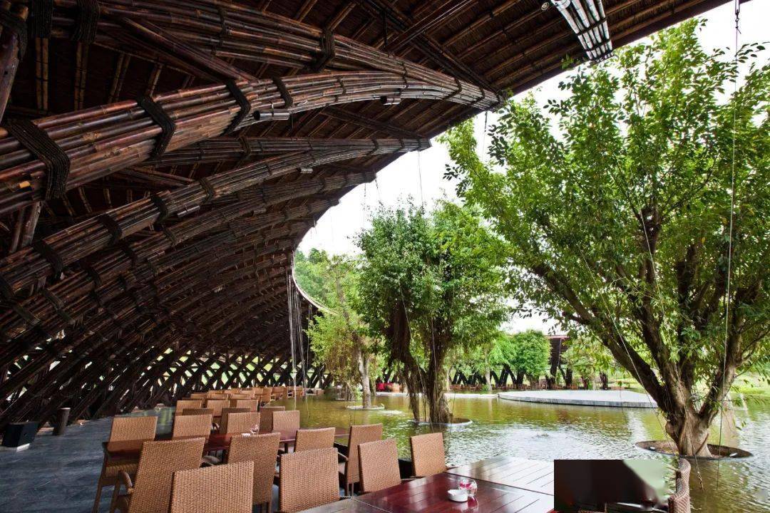 越南建筑师武重义不务正业每天冥想2小时只为把树和竹子种进人心