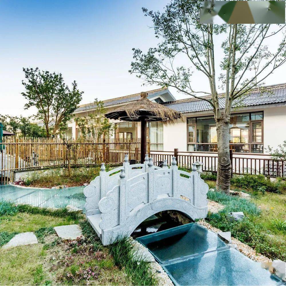 宜兴"孤岛"民宿的自救,美到天际!