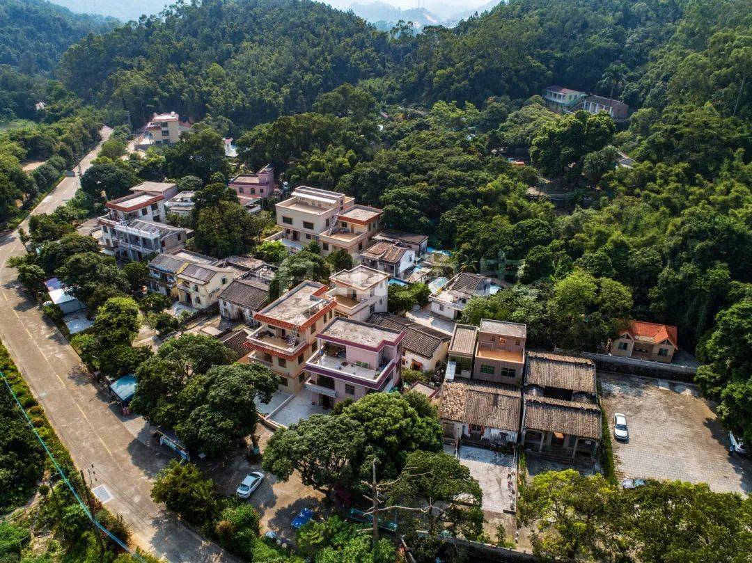 学党史开新局59五桂山用好红色资源讲好红色故事擦亮红色品牌