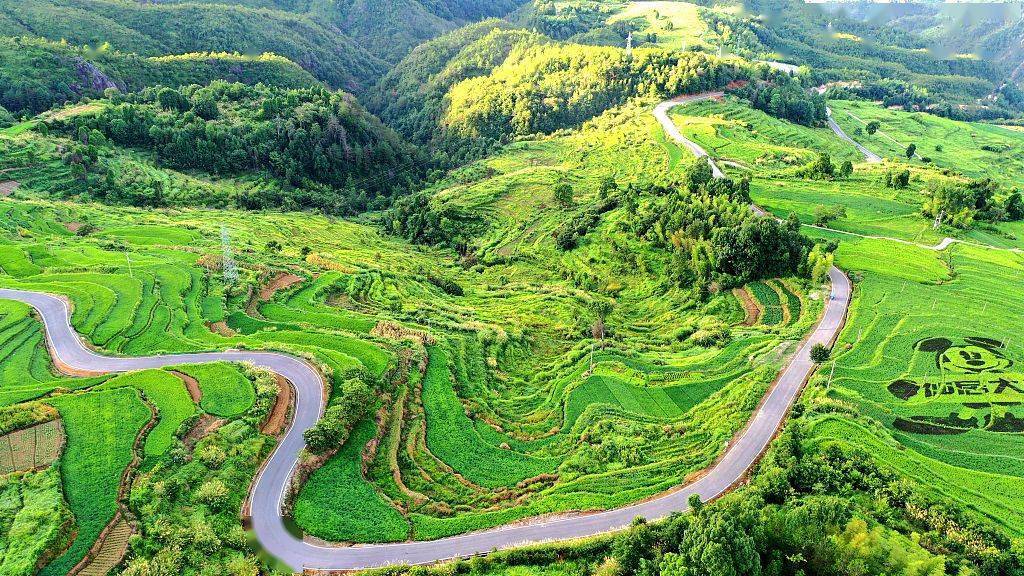 要想富先修路图看那些蜿蜒曲折的壮美山路