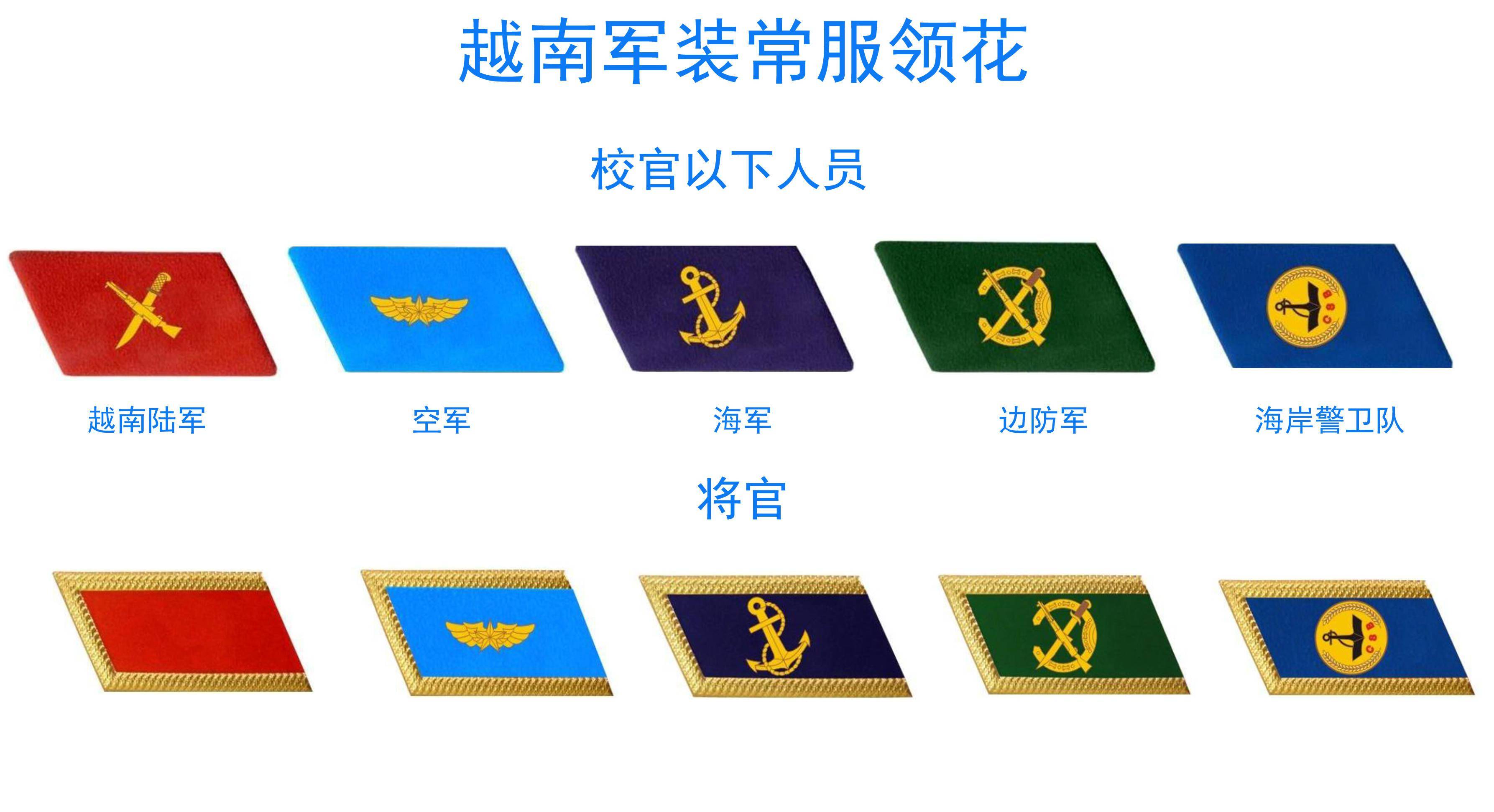 总体上讲,越南士兵的常服军衔采用的是肩章军衔标志,领章在常服上只是