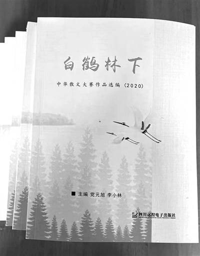 《白鹤林下》封面朱仲祥 文/图走进十里山水十里城的五通桥,走进岷江