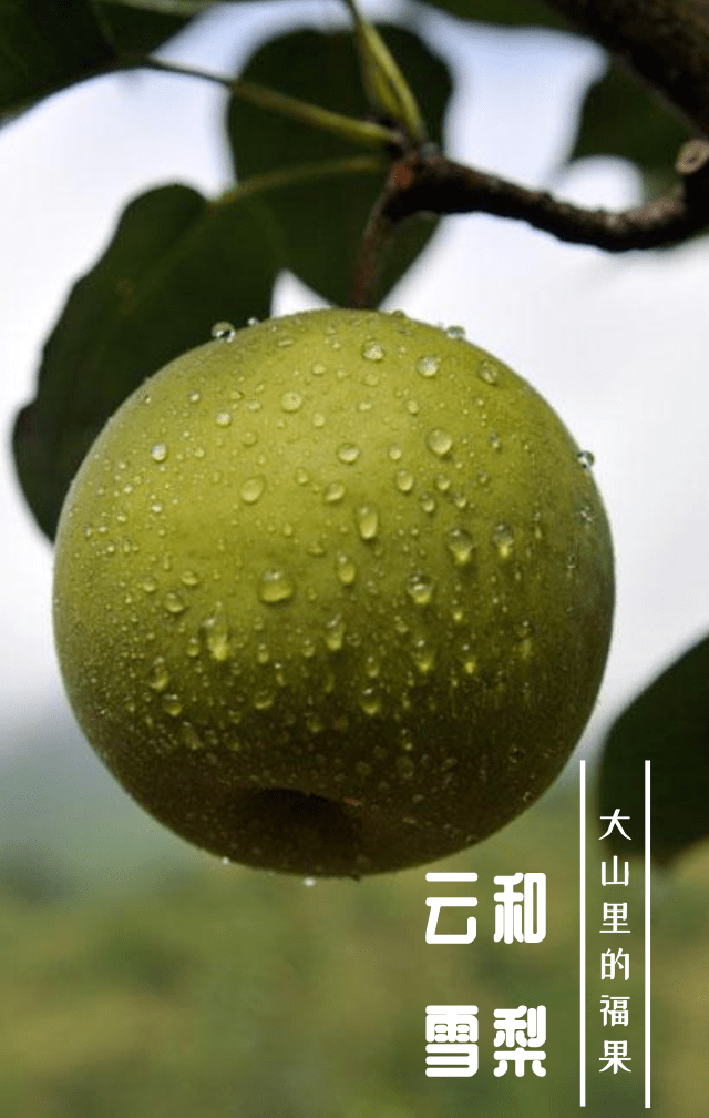 红绿融合老区振兴打造重要窗口生态产品价值实现机制的云和实践新闻