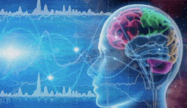 告别失眠一颗握在手心的睡眠蛋让你科学地睡个好觉