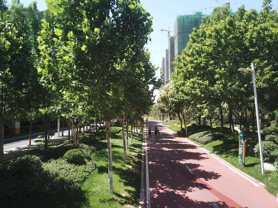 【城事】西三环: 绿廊环绕一道流动的风景线