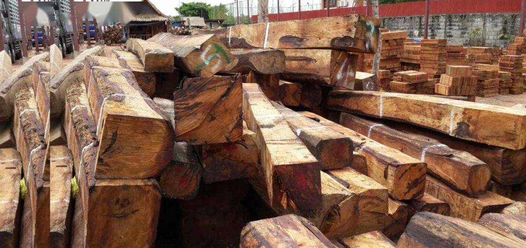 黄花梨木：_搜狐网