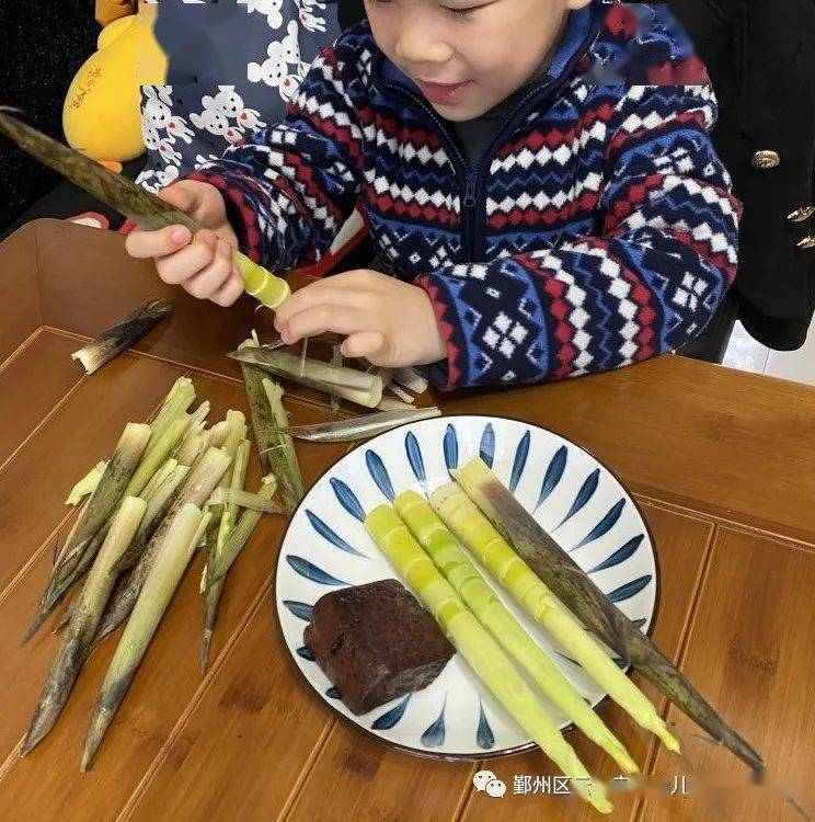 笋芽尖尖——鄞州区云天实验幼儿园(格兰园)中一班项目课程_笋壳