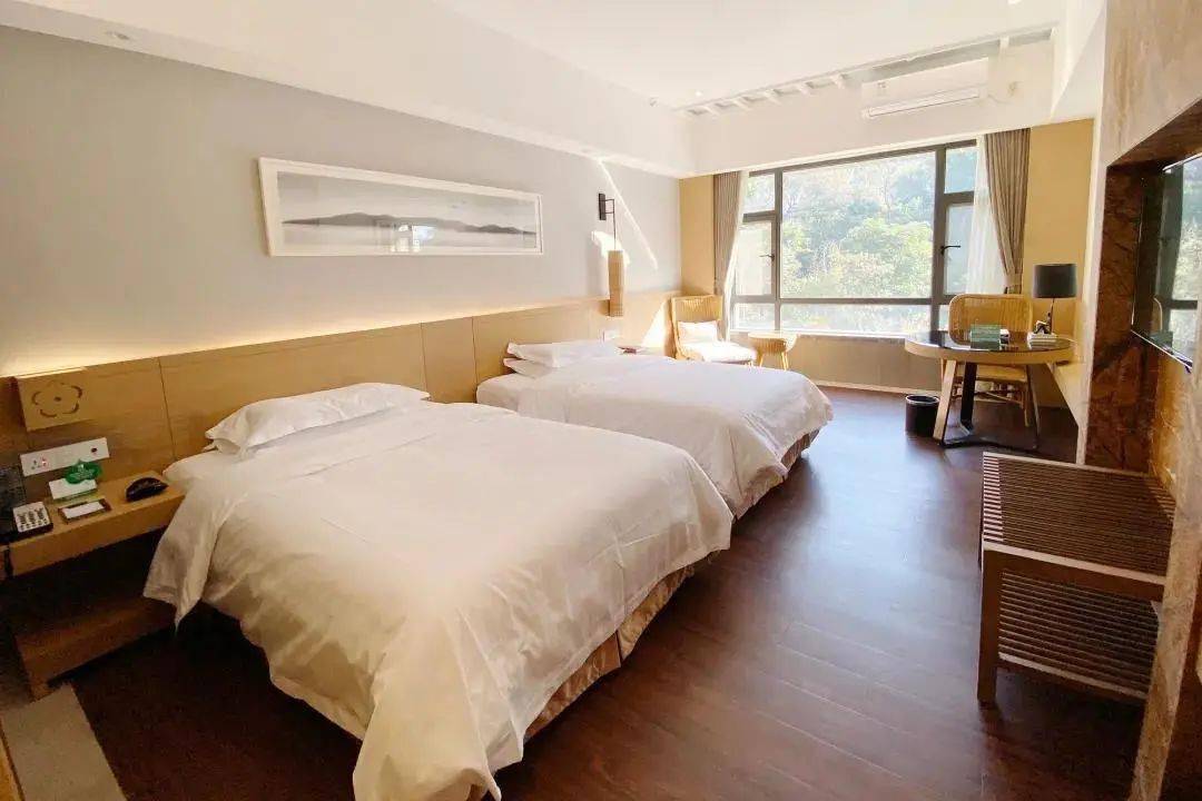 劲爆开抢买即送象窝茶800元代金券06599豪华房含双早双晚今年翔顺