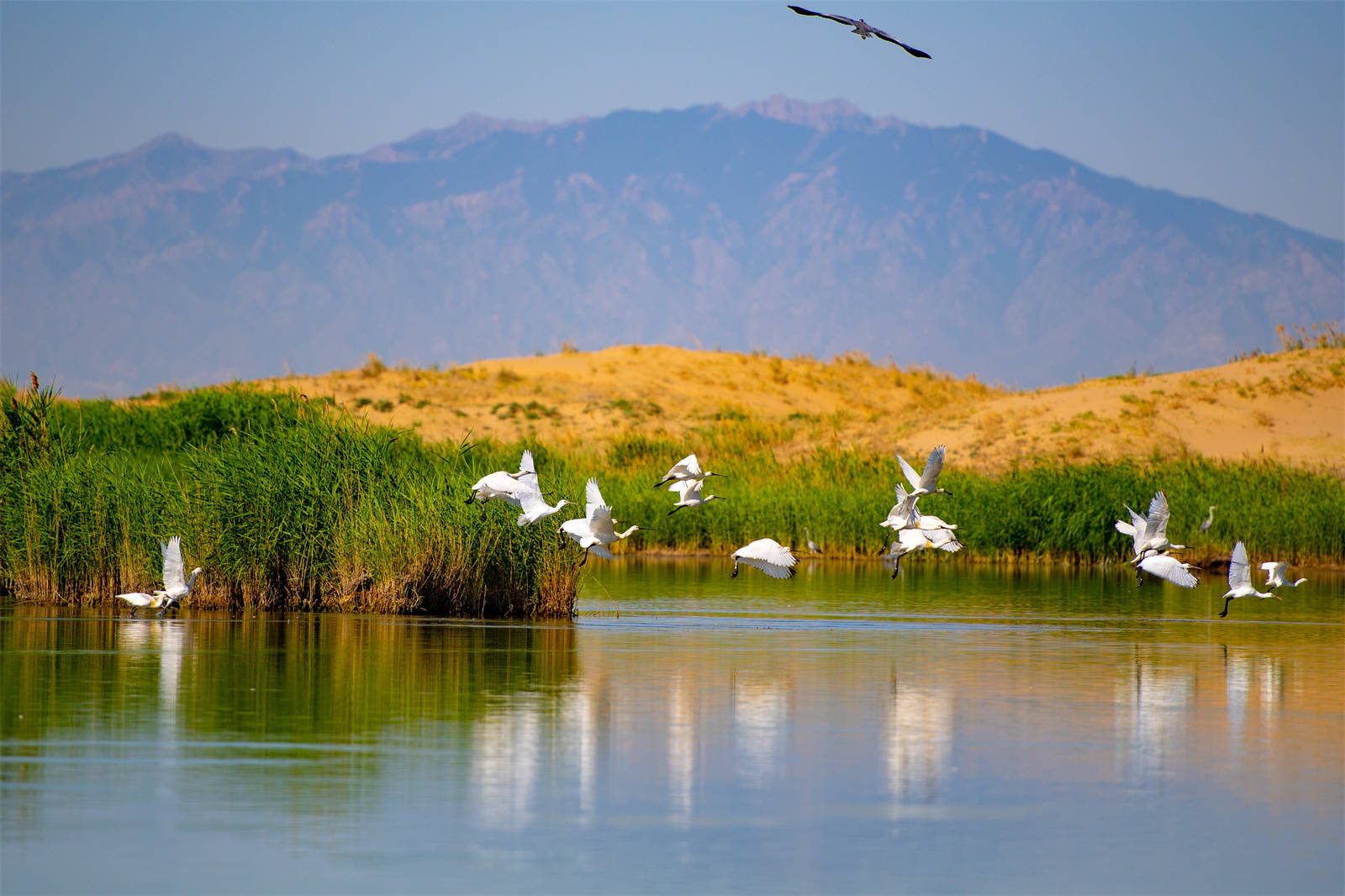 从白天到黑夜夏日沙湖每一刻都是风景
