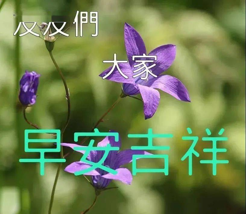 最漂亮早上好動態表情圖片大全早上好動圖美圖大全