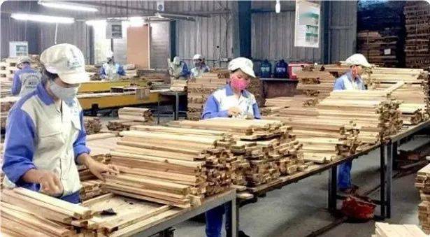 木头价值排行_木材价格已较高点“脚踝斩”,分析师仍预计该商品将长期走强