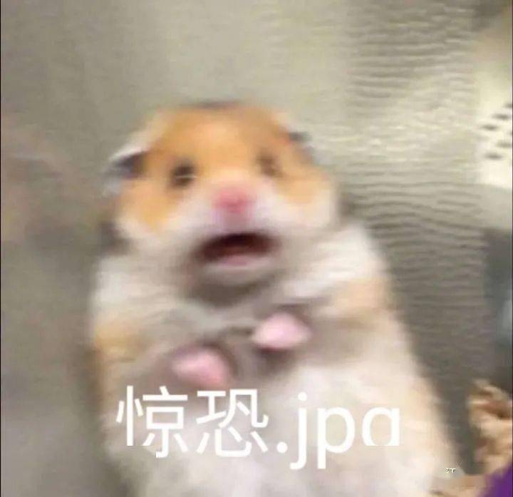d8d537ab707d454fb3dad3c397e517b4.jpeg